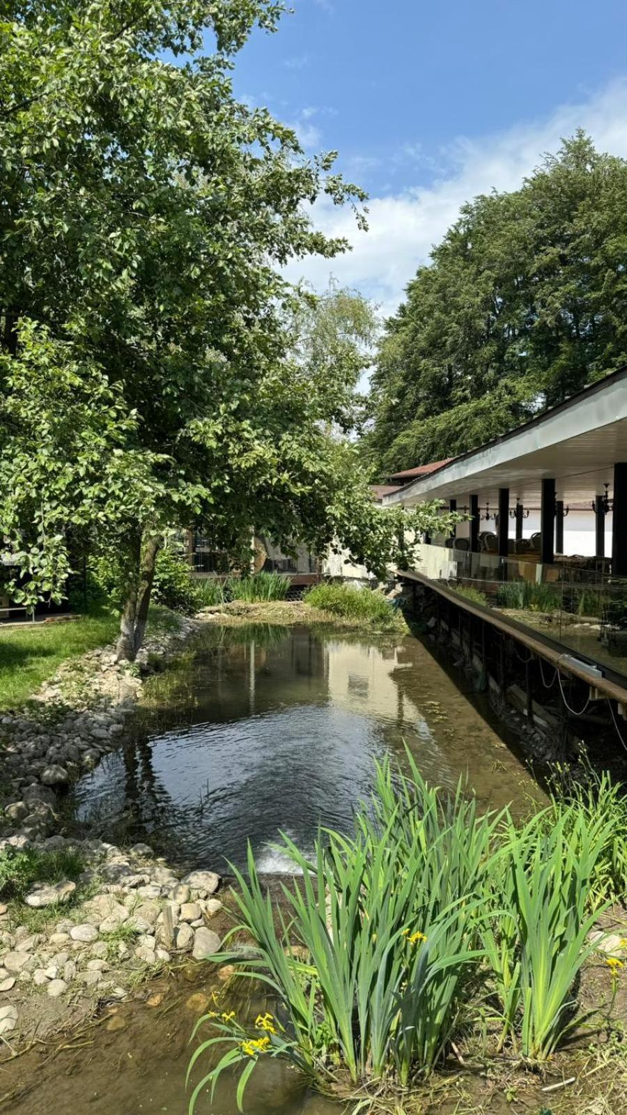 Marabou Resort 브라쇼브 외부 사진