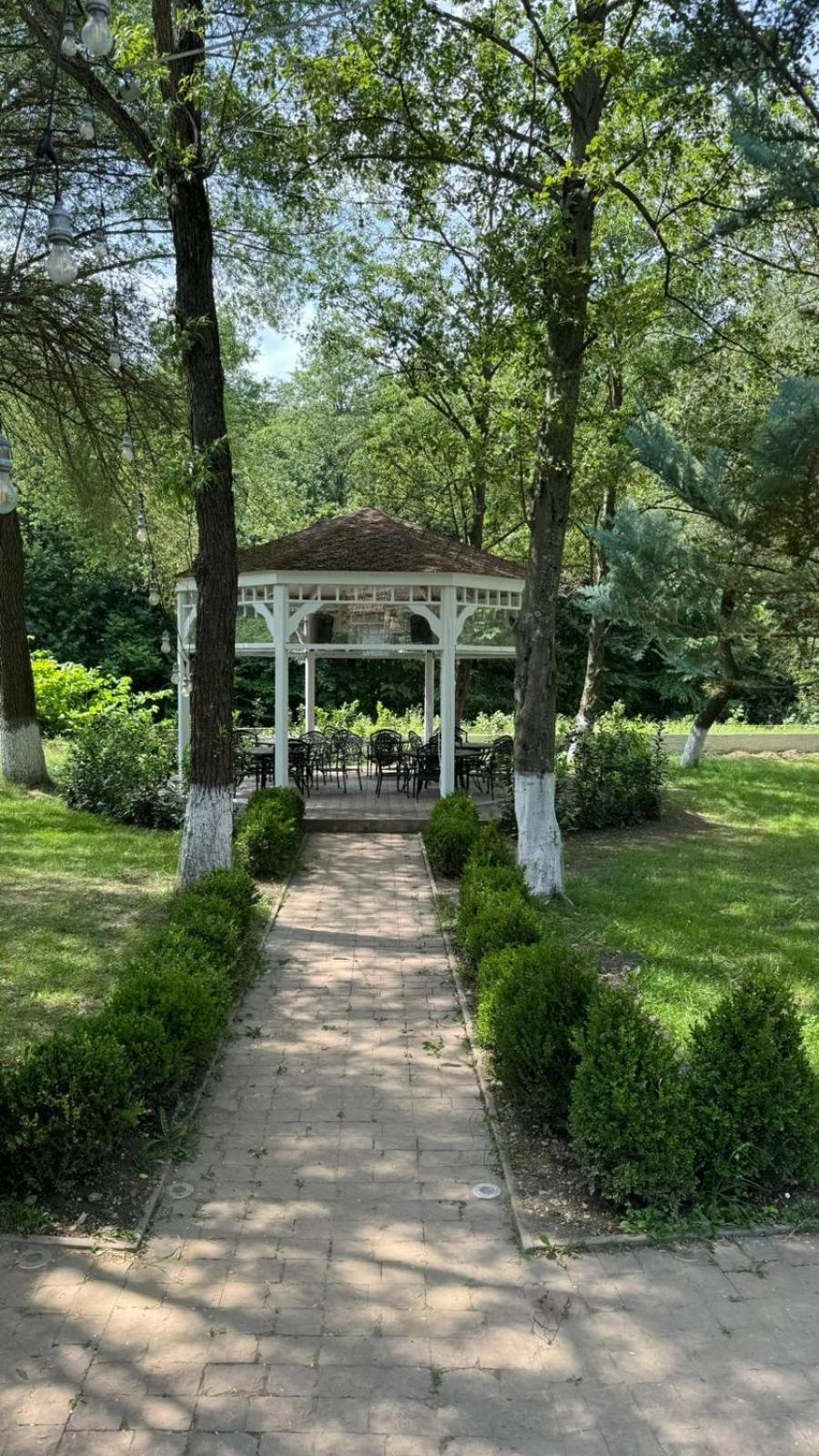 Marabou Resort 브라쇼브 외부 사진